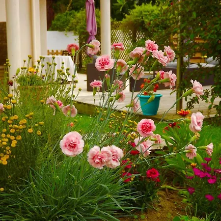 Le Val Dort Bed & Breakfast Orvault